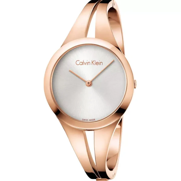 Calvin Klein Addict Silver 28mm